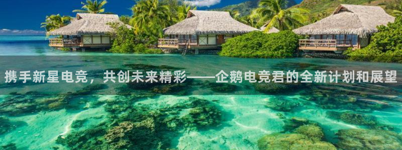 火狐电竞网页版入口