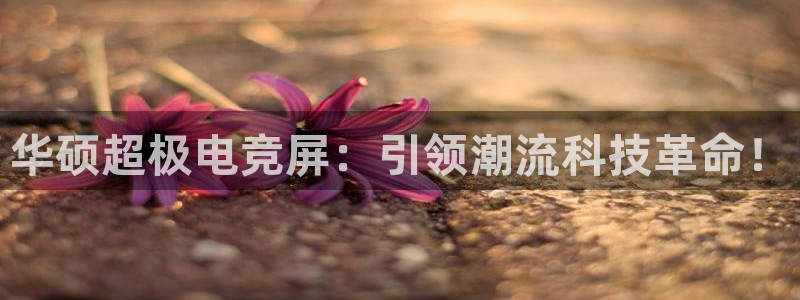 火狐电竞体育平台