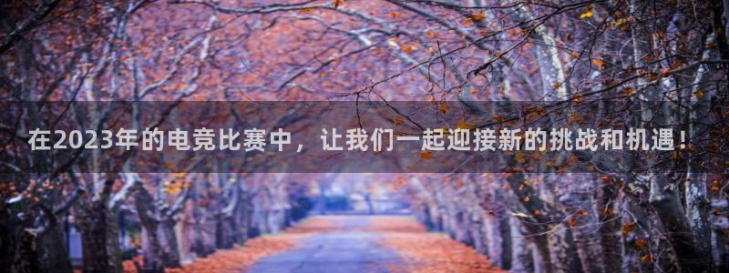 火狐电竞
