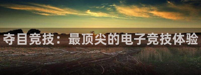 火狐电竞入口