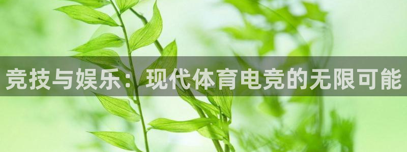 火狐电竞