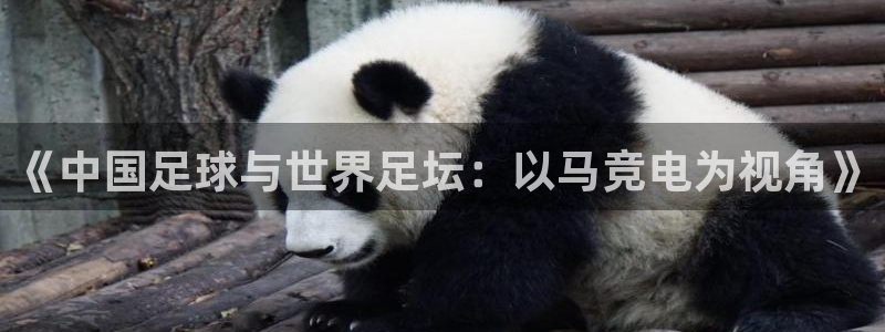 火狐电竞官网入口