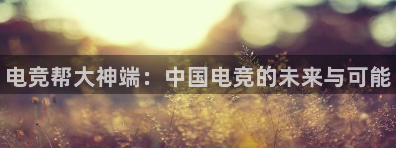 火狐电竞酒店：电竞帮大神端：中国电竞的未来与可能