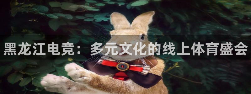 火狐电竞官网入口：黑龙江电竞：多元文化的线上体育盛会