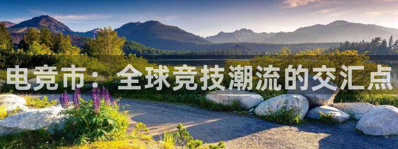 火狐电竞官网：电竞市：全球竞技潮流的交汇点