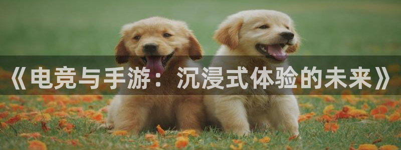 火狐电竞能提现么：《电竞与手游：沉浸式体验的未来》