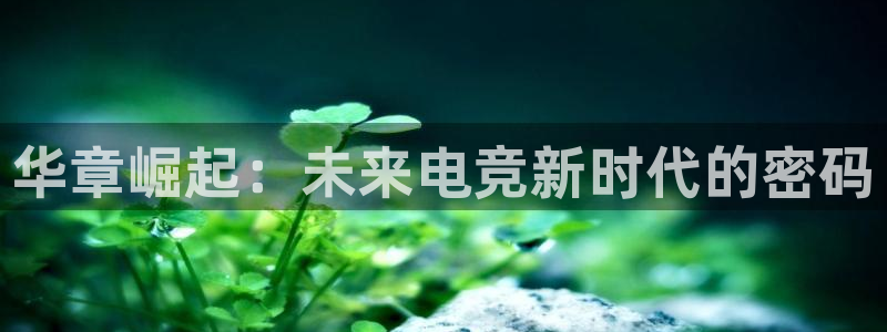 火狐电竞网页：华章崛起：未来电竞新时代的密码