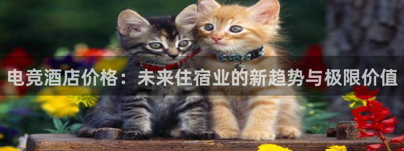 火狐电竞APP官网正版下载：电竞酒店价格：未来住宿业的新趋势与极限价值