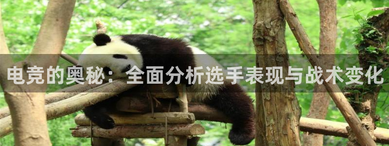 火狐电竞平台官网：电竞的奥秘：全面分析选手表现与战术变化