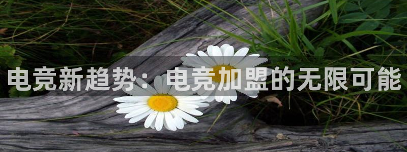 火狐电竞官网：电竞新趋势：电竞加盟的无限可能