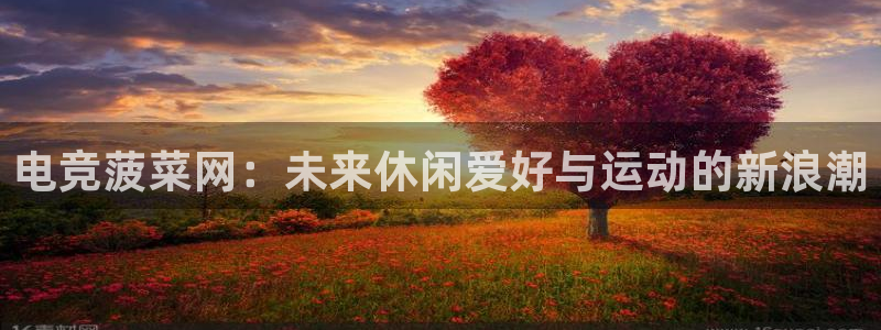 火狐电竞入口：电竞菠菜网：未来休闲爱好与运动的新浪潮